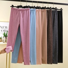 秋冬新款德绒打底裤女士冬季加厚保暖衬裤中高腰内穿松紧腰秋裤