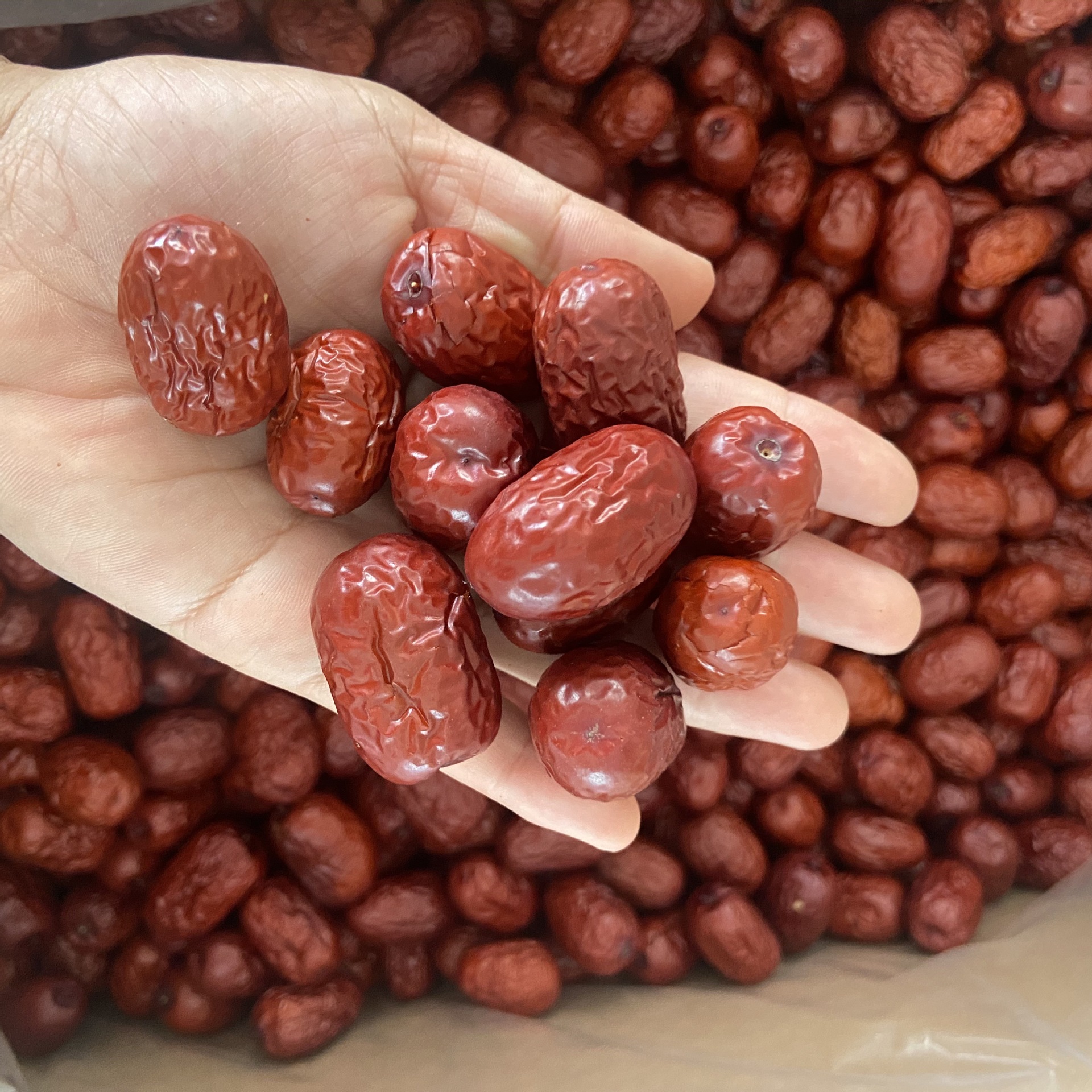 微信图片_20220805212357