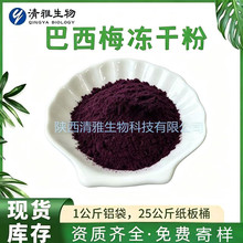 巴西莓冻干粉无添糖果粉冷冻干燥含花青素 进口原料