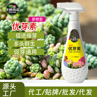 ���{���䃞ѿ�ض����÷ʠI�BҺֲ����ϱ�ѿ�ؿ�ጷʴ�ѿ������