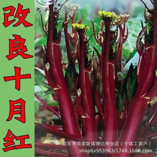 ��������L���t��̦�ļ����Ĵ������r�t��̦�߲˶�֭��Ƥ�t��̦��