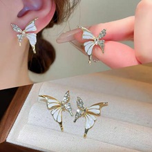 СOӋҺBᔚ|A߼ж؂԰ٴh