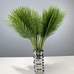 ��֦�ؙ��~����ɢβ��ֲ���c�bGֲ�~�ӼҾ��b��R�d�羳