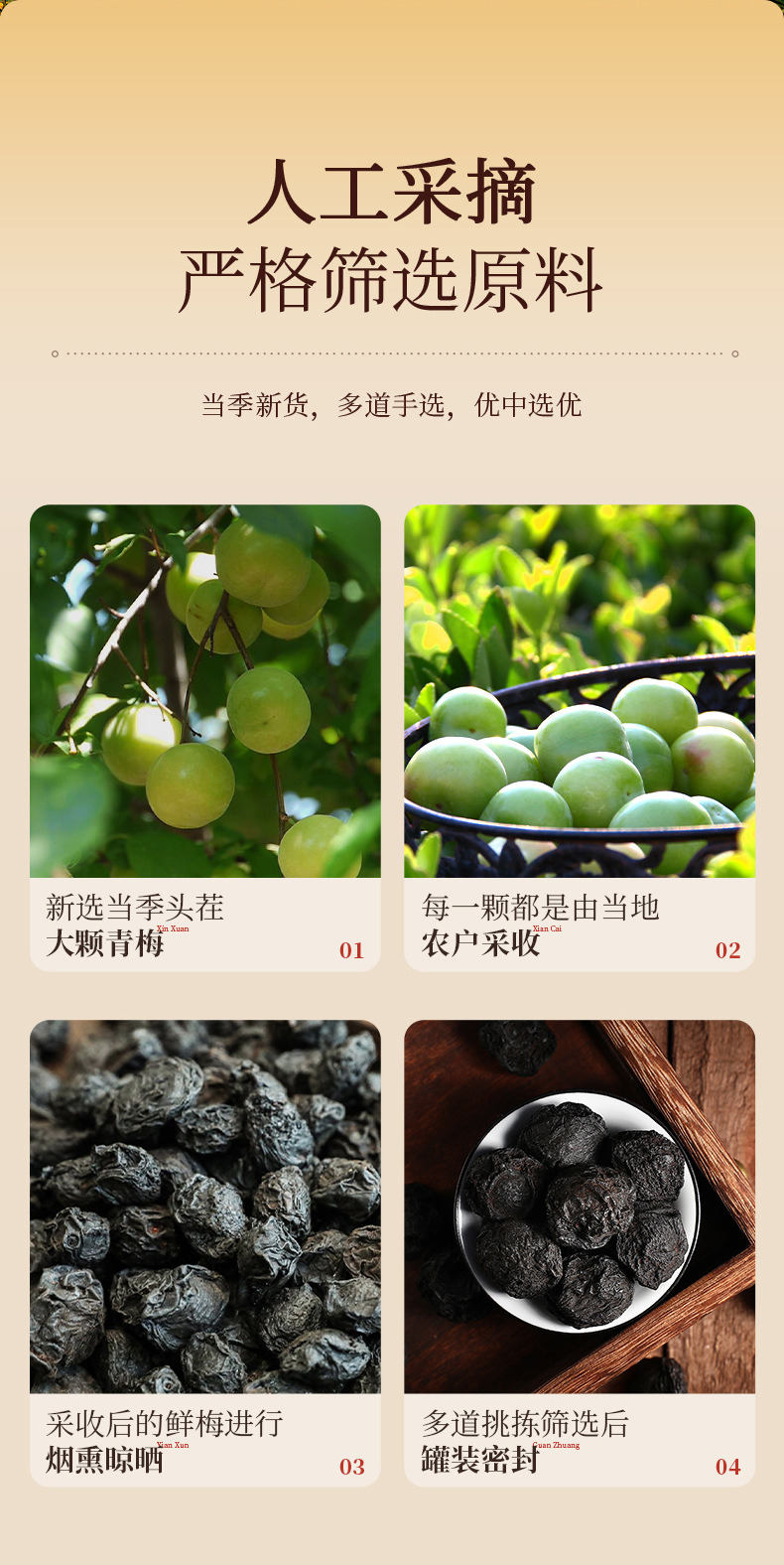 Smoked Dark Plum Dried Fruit Snack 300g Jar Ready to Eat Wumei for Sour Plum Drink quality and texture