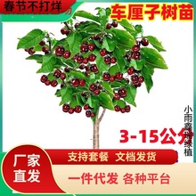 һl܇ӘϷNֲͥԺ䰫Ҙ玧