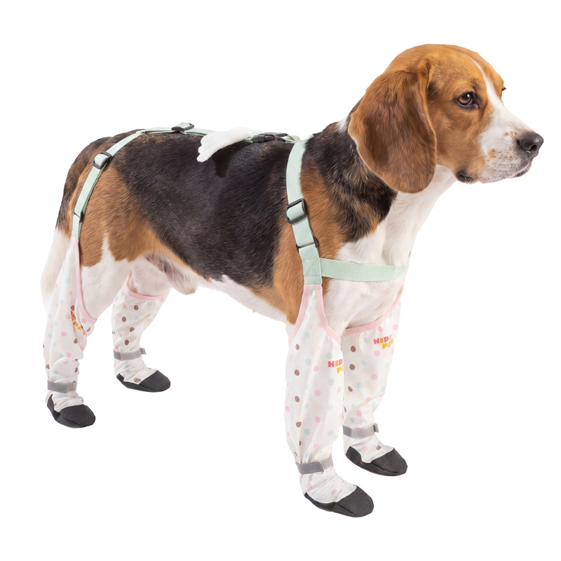 Primavera y verano, cinturón de cuatro patas, zapatos para perros pequeños y medianos, resistentes al desgaste, antideslizantes, no fáciles de caer, mascotas de cuatro patas.