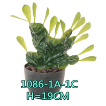 ����ֲ�����������������ԙ����쾰�b[���Ꭷ����Gֲ��������