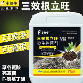 九肽生根剂强力生根液生物发酵蔬菜调土植物养根壮苗根立旺水溶肥