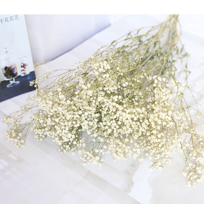 Flor seca Flor eterna Gypsophila Bola de oro No me olvides Flor seca Rosa hoja de eucalipto Pine Fruit Lover Grass al por mayor