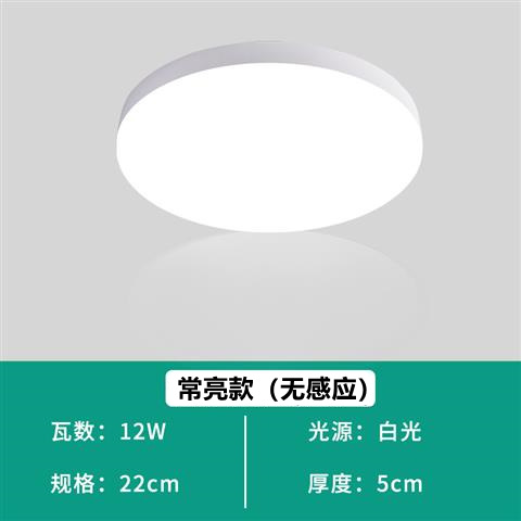 Full moon model, always bright, 12 watts (diameter 22cm)