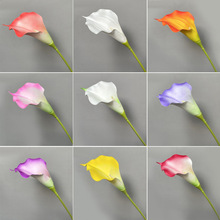 �����R��ɏ �ҾӲ����b��R��ɏPU����������ٻ���c�������ٻ�