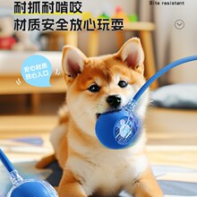 ��������Ԅ��޹�����ҧ���˶�������������С��Ȯ����С��ͻͻ��