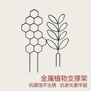 ���ٻ���֧�ܿ羳������⻨�@�@ˇ�̶��U�Fˇ����ֲ�������ܻ���