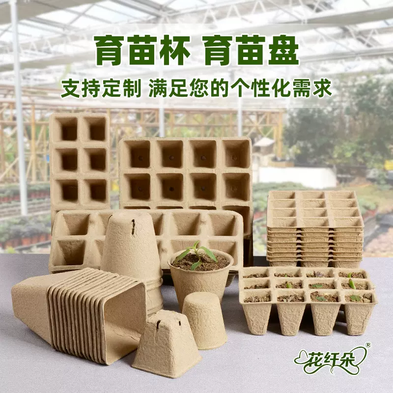 育苗盘穴盘批发猫草生菜草莓苗育苗杯西瓜辣椒菜苗营养杯装土神器