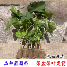 �������~���ј�����ˮ��ꖹ�õ��޷����Ȼʺ������簫����������