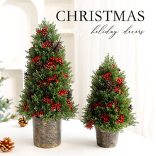 �羳�¿�������ʥ�����ڼ� ʥ���ڷ�Χ����װ��С��ʥ��������