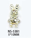 NS-5381