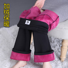 �������]�ӽqѝ��Ů�b�Ӻ�ůŮѝ΢����ѝ���ﶬ�S���¿��⴩ѝ