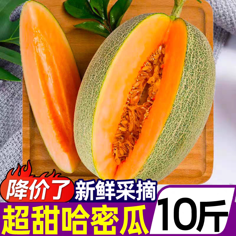 Super Sweet Cantaloupe, Seasonal Fruit, Fragrant Melon, Honeydew Melon, Xizhou Honey Melon, Direct from the Place of Origin, Fragrant, Sweet and Juicy