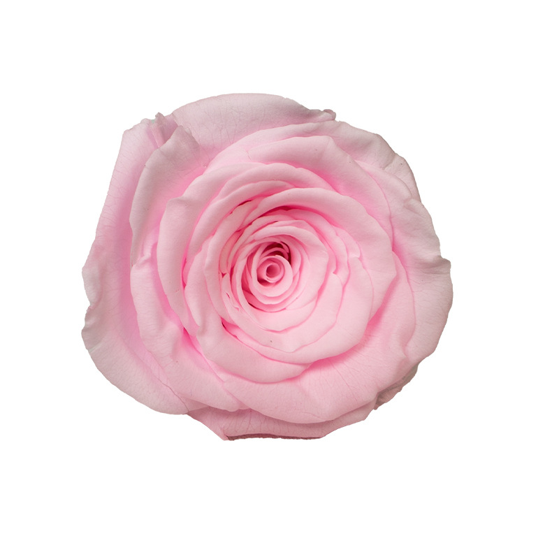 4-5cm 8 Flores, grado B DIY flores eternas, rosas eternas, Yunnan Kunming al por mayor, flores preservadas