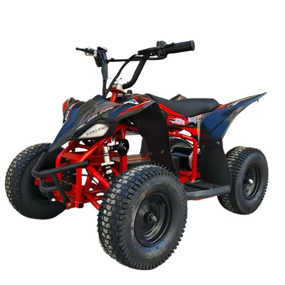 Motorcycles, All-Terrain Vehicles Atv, Elektrikli motosikletlər