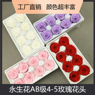 �û�������AB��4-5õ������diy���Ĳ��ϰ����������˹����ǫF