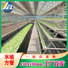 pvc管水培种植管水培100X100方形大棚蔬菜方管的农用水管白打孔厂