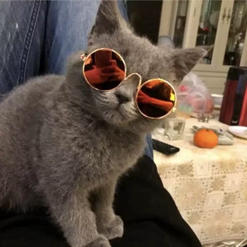 时尚宠物眼镜 猫咪墨镜狗狗太阳镜泰迪个性搞怪头饰毛绒宠物配饰|undefined