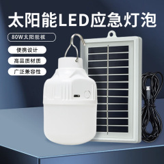 USB充电灯泡夜市摆摊地摊灯家用停电应急照明灯户外LED露营灯超亮