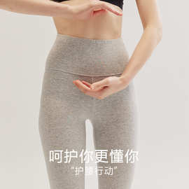 纯棉现货女高腰内穿打底裤薄款春秋百搭保暖全棉长裤棉毛裤秋裤