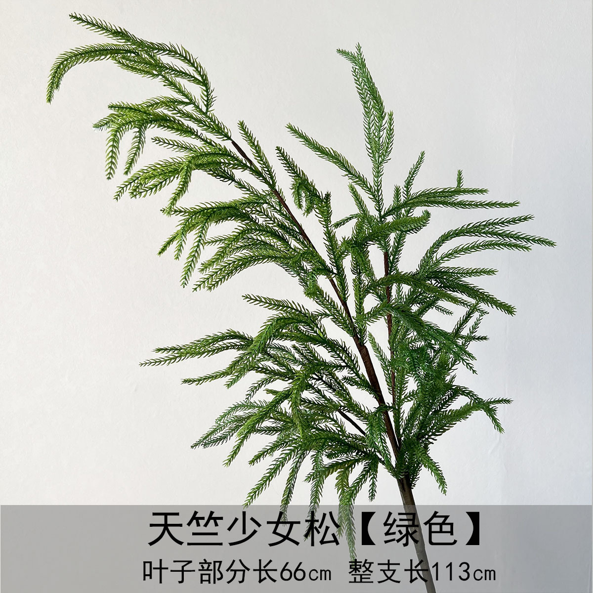 Tianzhu Girl Song - verde