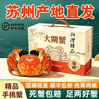 活蟹特大苏州大闸蟹鲜活螃蟹公蟹4.0两可全母蟹3.0两10只礼盒装