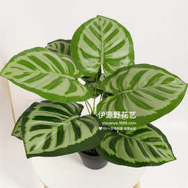 仿真绿植 仿真盆栽 室内仿真绿色植物盆栽装饰 仿真大号竹芋盆栽