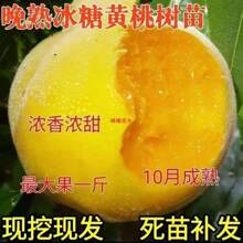 �Ҙ�����Ʒ�N��������S�Ҙ���޽�����������S���ҳ����ͺ�