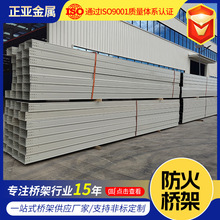 防火电缆桥架 槽式喷塑耐火桥架200*100mm 工厂商场室内用桥架