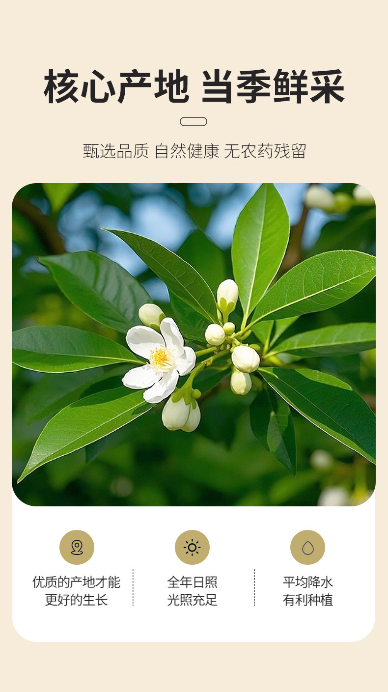 Dried Daidai Flower Dai Dai Hua Citrus Flower Herbal Tea 500g quality and texture