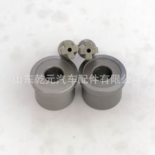 燃油喷射泵供油阀  2418554069  出油阀 1108795 SCANIA