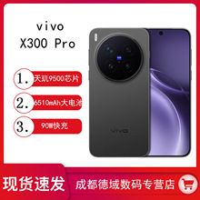 新品vivo X300Pro 2亿长焦天玑9500拍照手机游戏音乐商务智能机