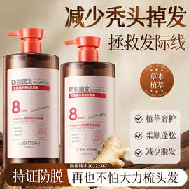 侧柏叶生姜防脱洗发水大容量控油蓬松植物防脱发洗发露热销榜批发