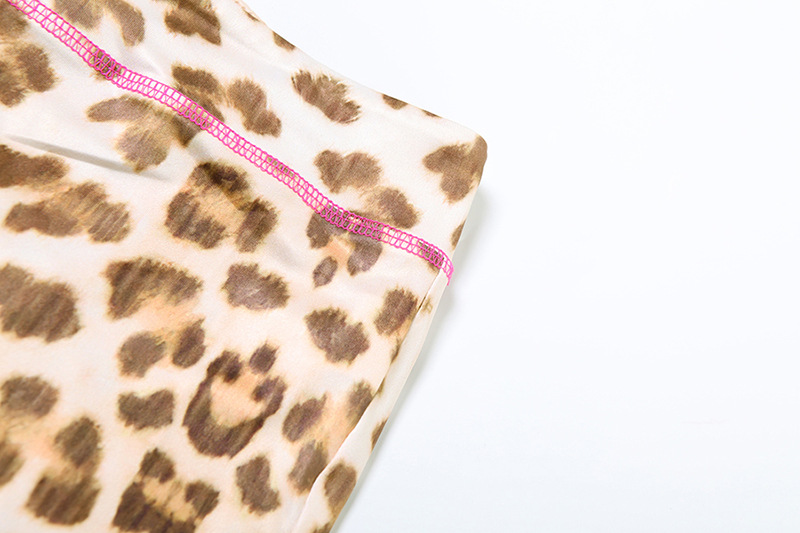 Spring Casual Leopard Print Slim Fit Hood Zipper Top High Waist Shorts Set Women