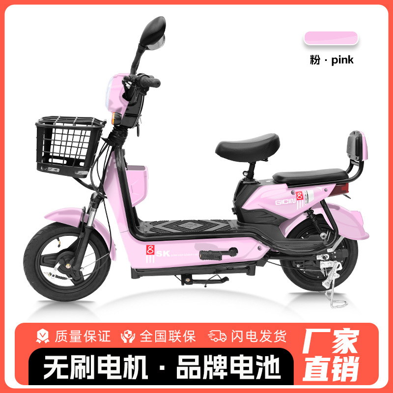 Bicicleta Eléctrica Golden Eagle para Comercio Exterior al por Mayor, Scooter Eléctrico para Adultos de Dos Plazas, Vehículo Eléctrico Ligero de Dos Ruedas con Batería de Larga Duración.