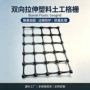 双向土工拉伸防护格栅