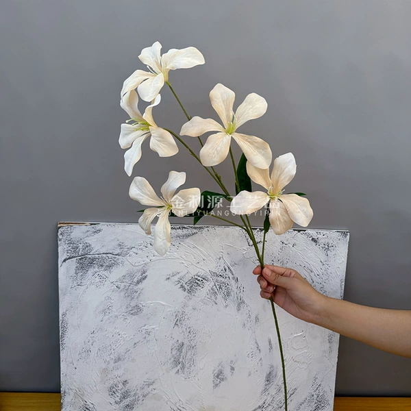 5 flame orchid champagne