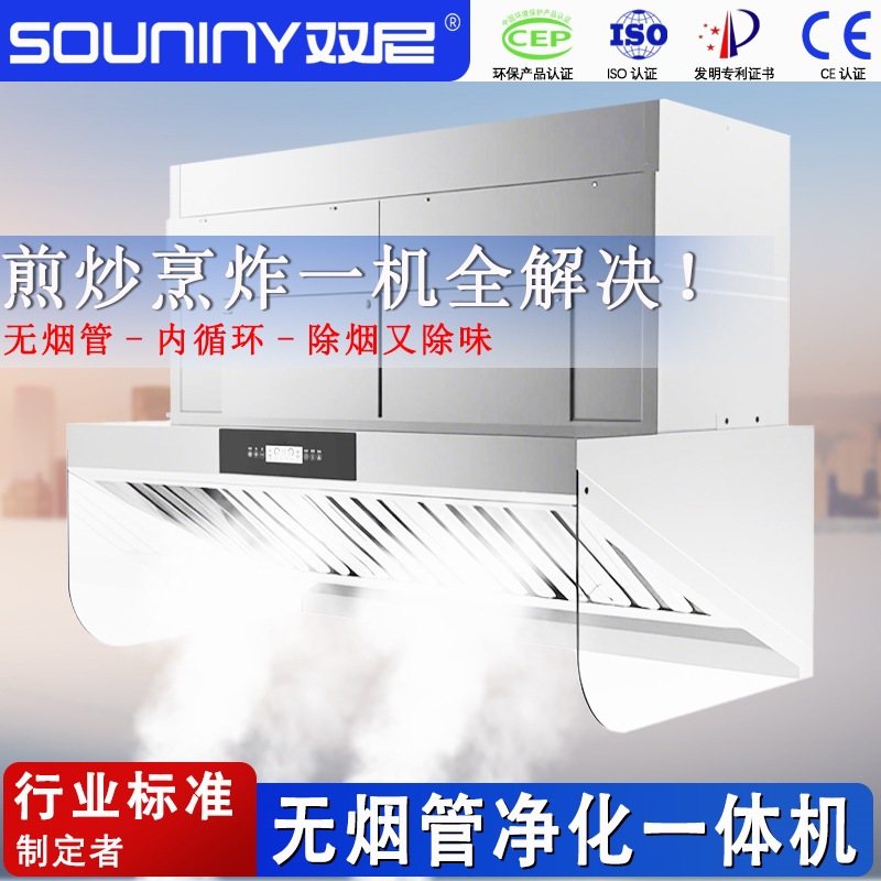 双尼油烟净化一体机无烟管内循环饭店厨房学校食堂商用抽油烟机