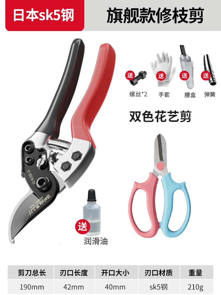 Tijeras de rama de fruta Yizili tijeras de jardín de primavera SK5 hoja de acero tijeras de jardinería doméstica tijeras de podar Bonsai de jardín al por mayor