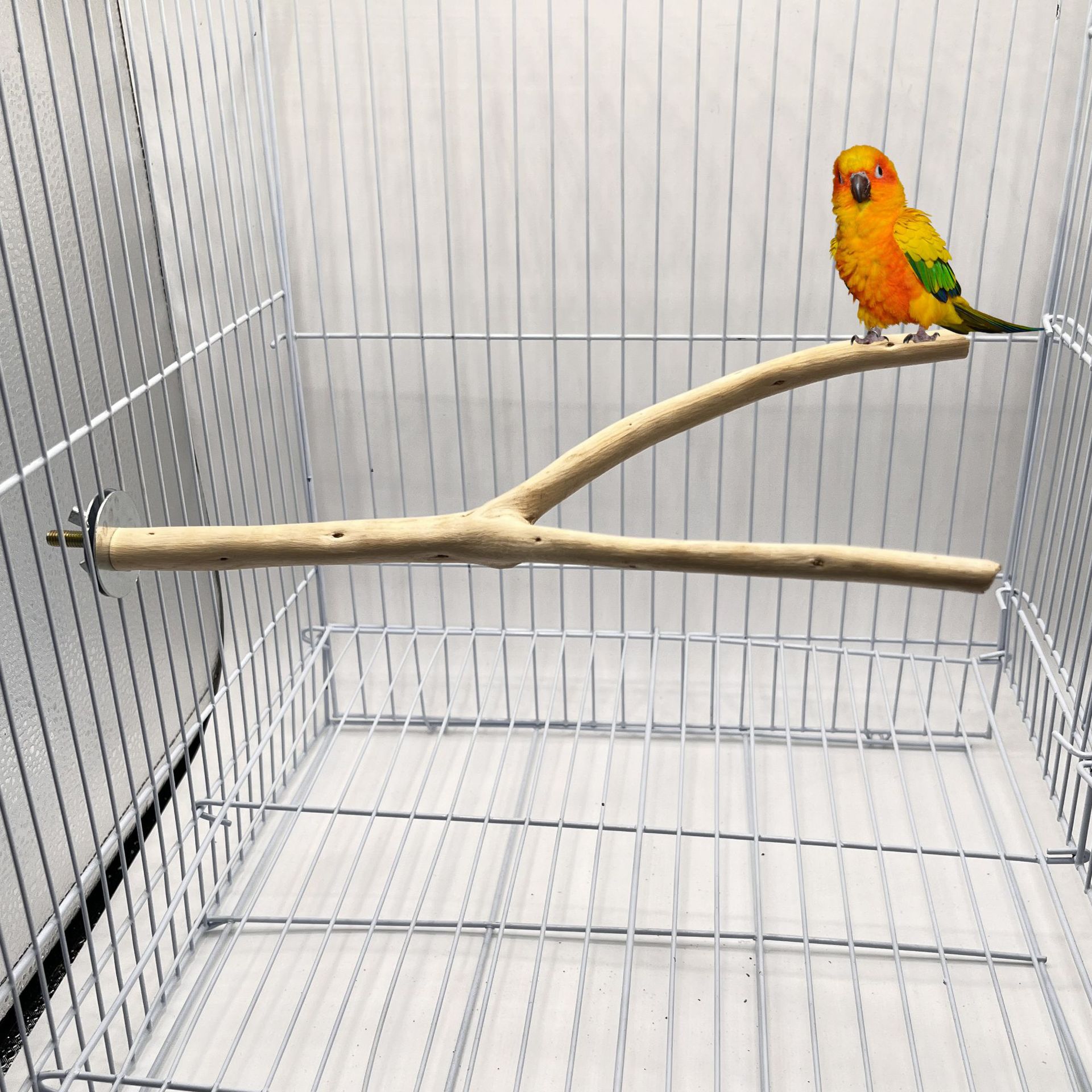 Ir a la rama del cinturón, doble rama, poste de la estación de pájaros, loro, hábitat de pájaros, garras, marco de estación de madera, palo, accesorios de jaula de pájaros, juguetes para pájaros