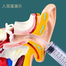 洗耳神器洗耳朵器耳洞耳道冲洗吸水灌洗耳球注射器吸耳屎采耳工具