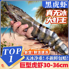 黑虎虾新鲜超大特大基围虾冷冻大虾斑节虾九节虾深海捕捞海鲜水产