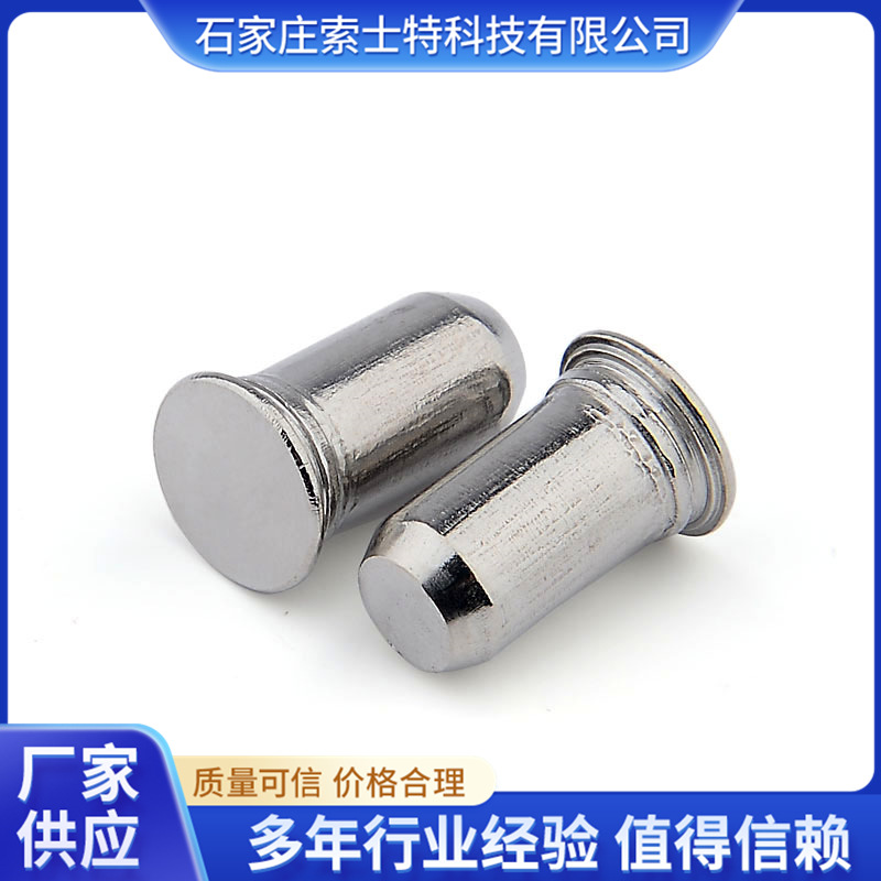 定位销压铆销钉导向销转轴圆柱销子自扣紧销不锈钢 TPS自动精密