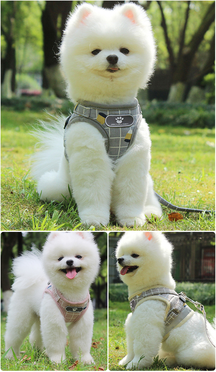 New Vest Type Leash Reflective Pet Chest Harness Wholesale display picture 25